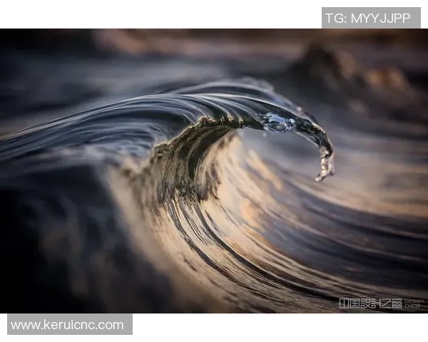 从惊涛骇浪到优雅入水探秘跳水运动背后的力量与艺术